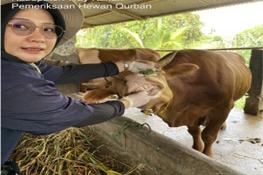 Dinas TPHP Way Kanan Siapkan Tim Pemantauan Pemotongan Hewan Qurban 1447 H