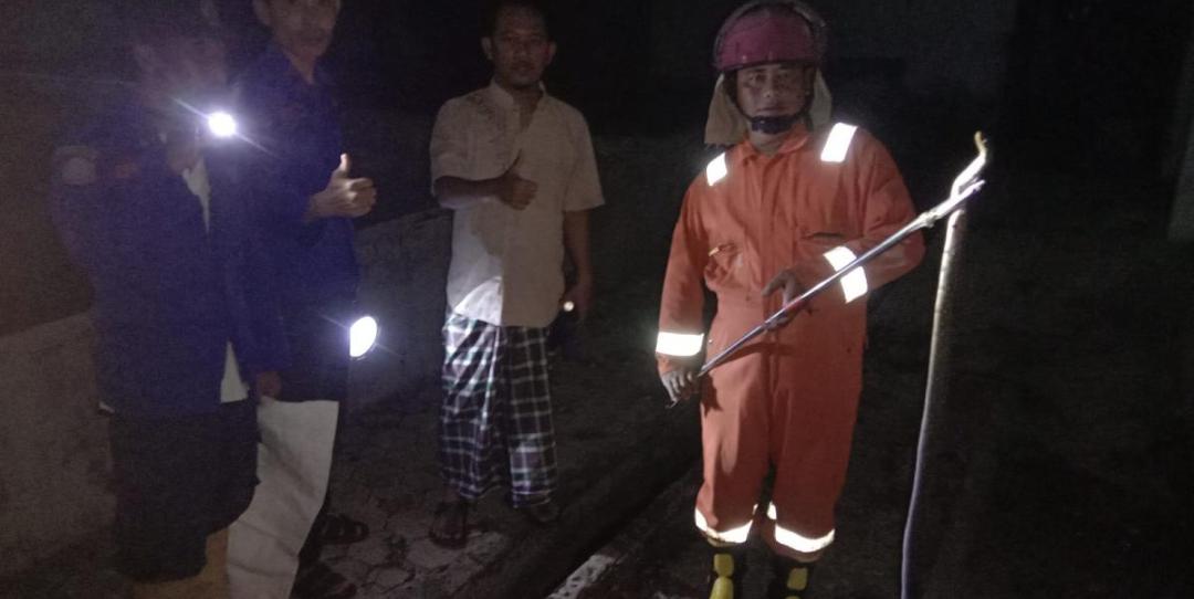 Kerahkan 5 Personel, Petugas Damkar Evakuasi Ular Kobra yang Masuk Dapur Rumah Warga Tulang Bawang