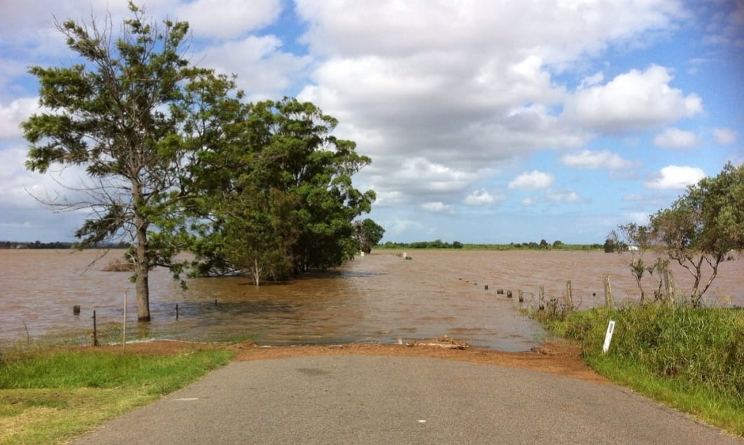 Lima Hektare Sawah di Rejomulyo Terendam Banjir, DKP3 Metro Lapor ke Pemprov Lampung
