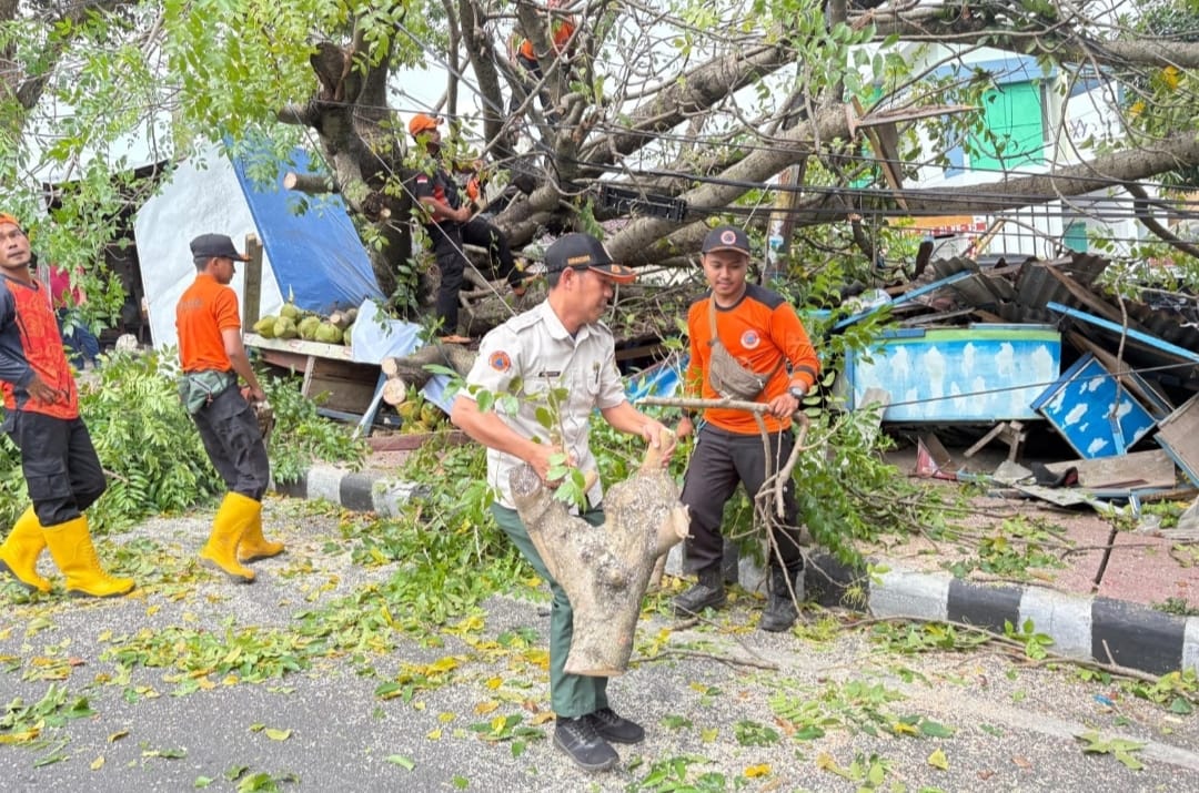 Hingga April 2026, BPBD Bandar Lampung Catat 77 Pohon Tumbang, Didominasi Karena Angin Kencang