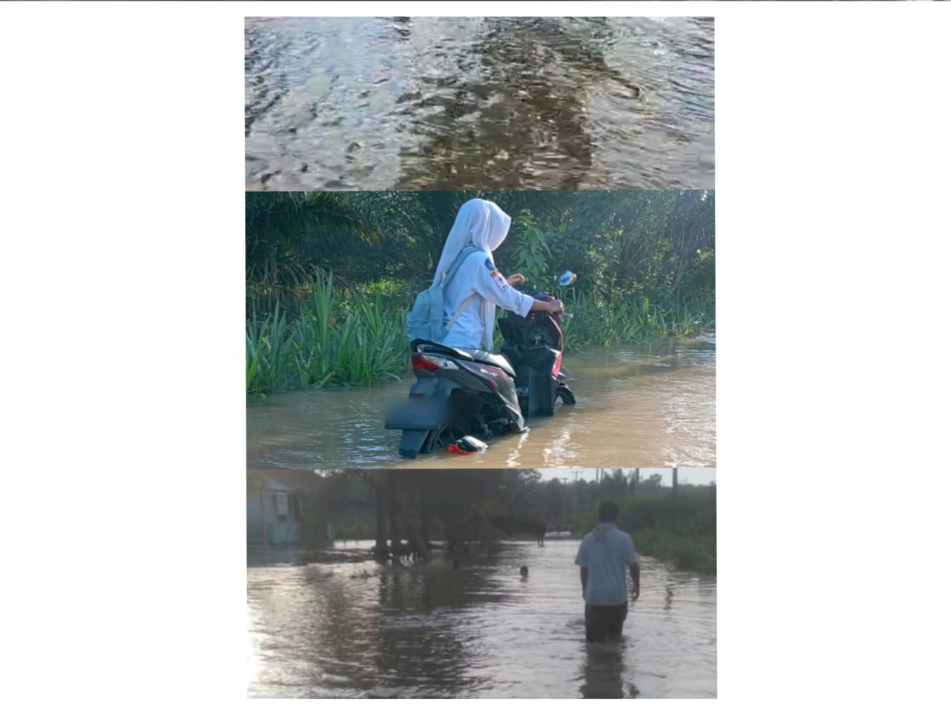 Potret Pilu Pakuan Ratu, Siswa Karang Agung Way Kanan Terjang Banjir Demi Sekolah