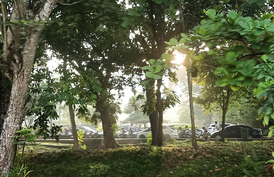 Update Peringatan Dini Cuaca Lampung, Wilayah Ini Berpotensi Hujan Hingga Siang Hari