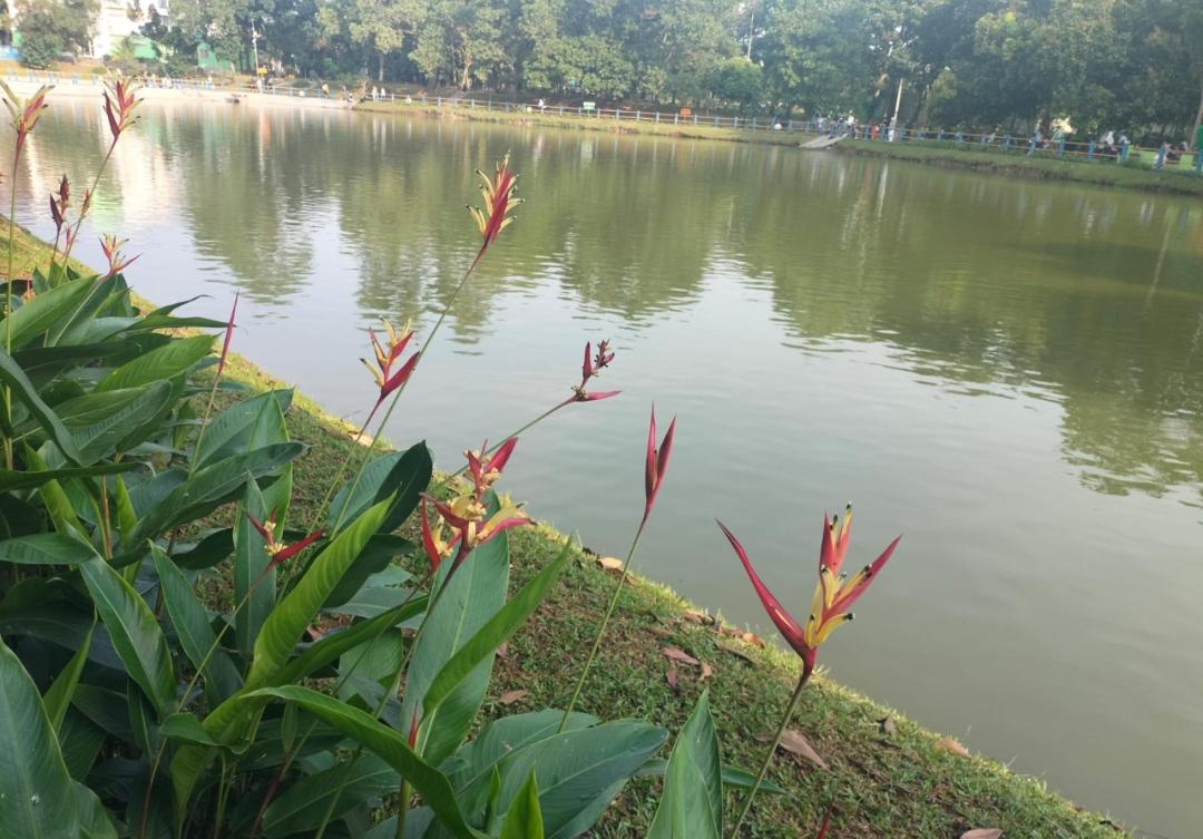 Dari Siang hingga Malam Hari, Bandar Lampung Potensi Hujan Lebat Disertai Petir dan Angin Kencang