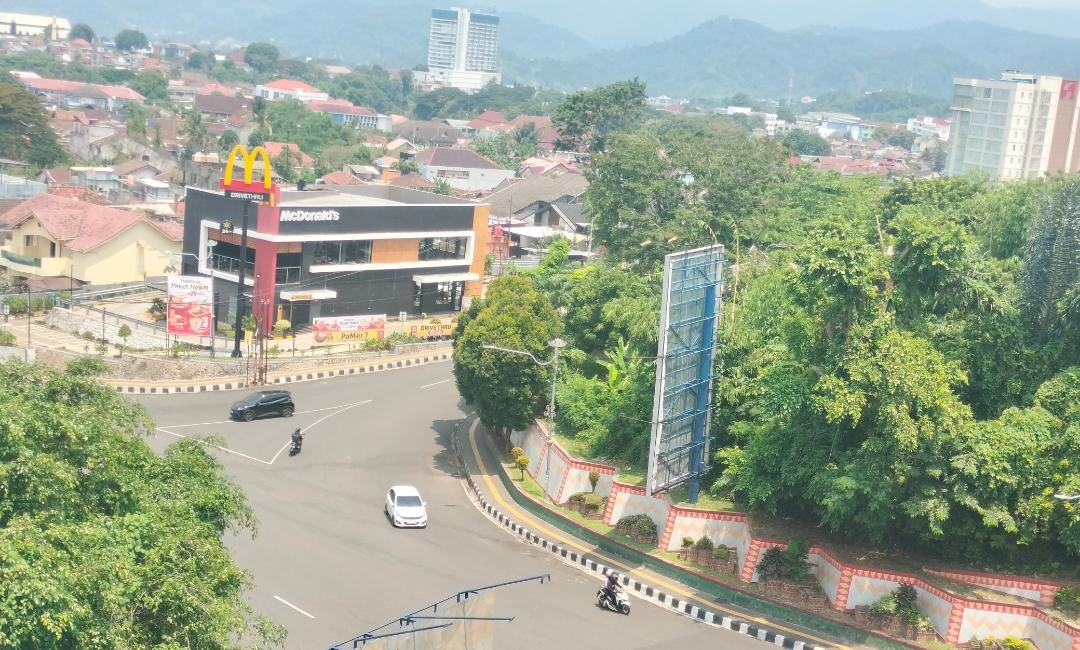 Peringatan Dini Dari BMKG, BPBD Bandar Lampung Ingatkan Warga Siaga Pohon Tumbang dan Roboh Talud