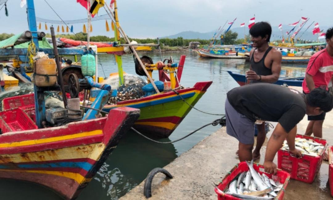 Gelombang Tinggi Capai 4 Meter, BMKG Maritim Lampung Rilis Warning untuk Kapal Nelayan dan Ferry