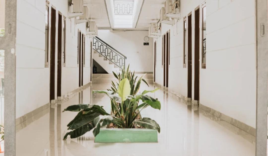 Ini Rekomendasi Guest House Murah Dekat Kampus di Lampung, Tarif Mulai Rp110 Ribu