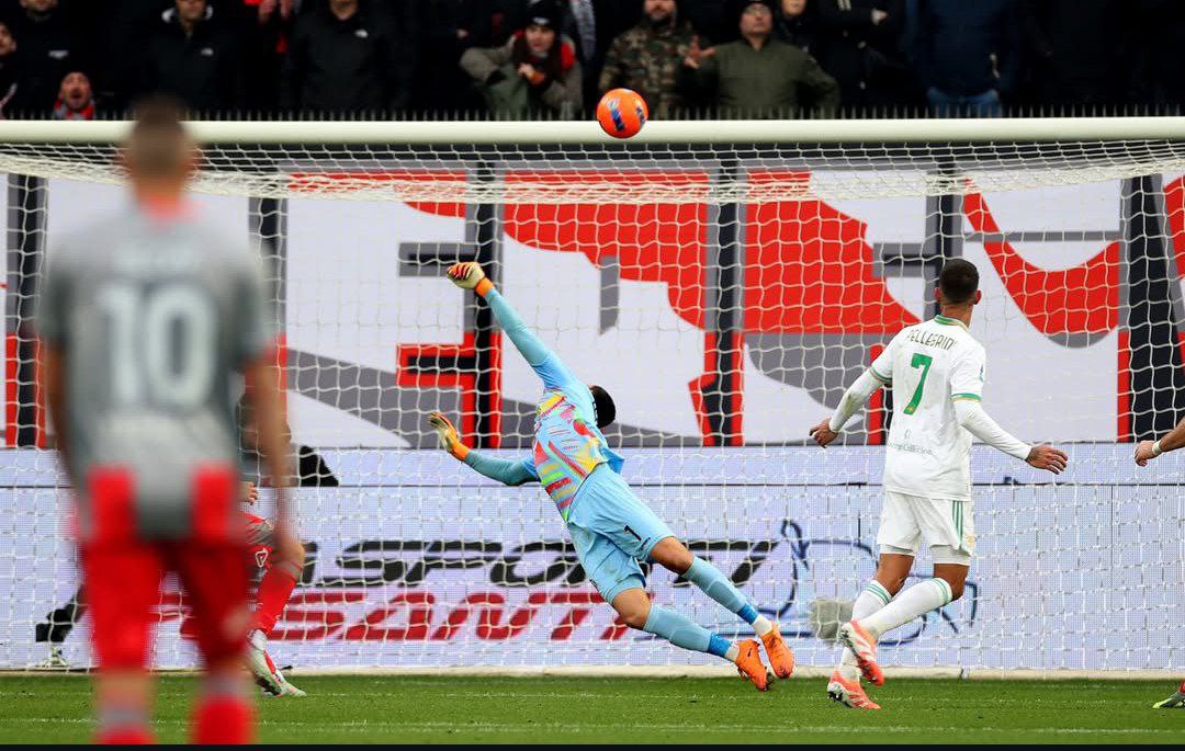 Live Streaming Bologna vs Cremonese: Rossoblu Menggila, Mampukah Audero Menahan Badai?