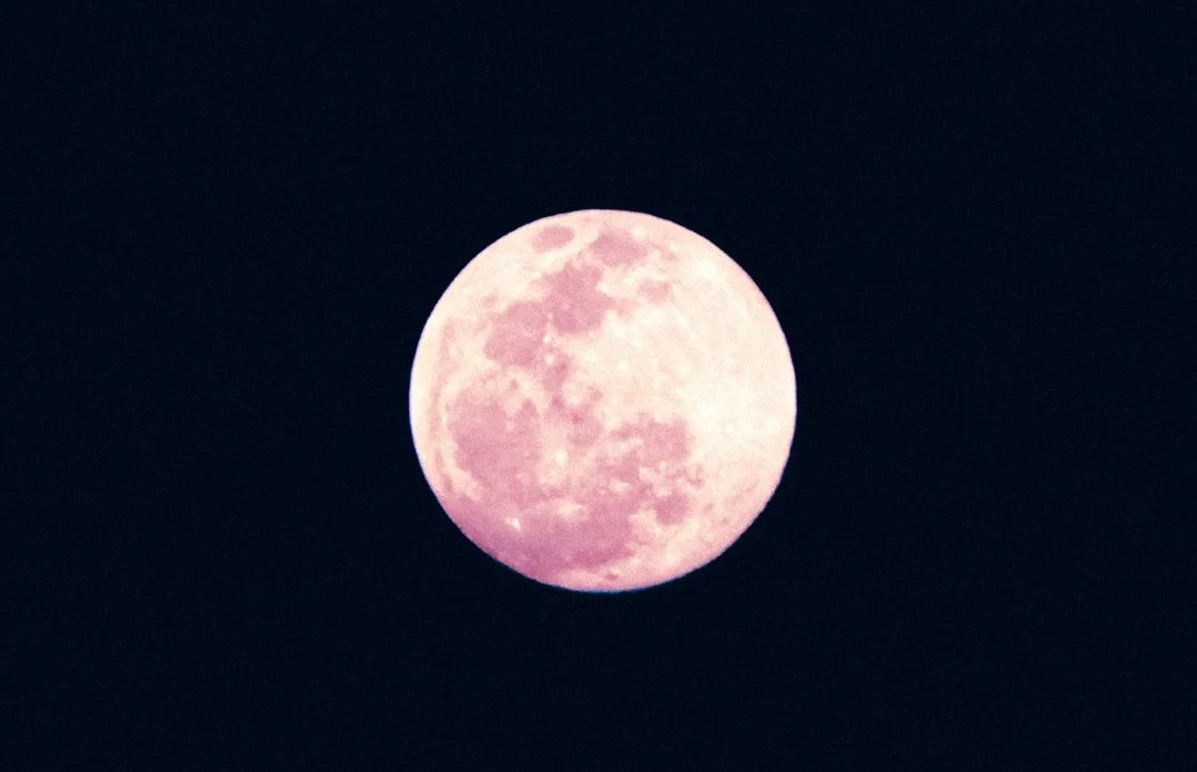 Fenomena Pink Moon 2026, Benarkah Bulan Berwarna Pink?