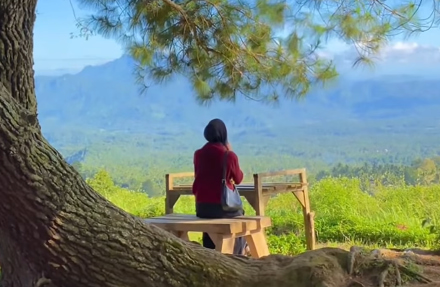 Liburan Kacau? Simak Lima Trik Ampuh Ini agar Perjalanan Tetap Tenang dan Anti Drama