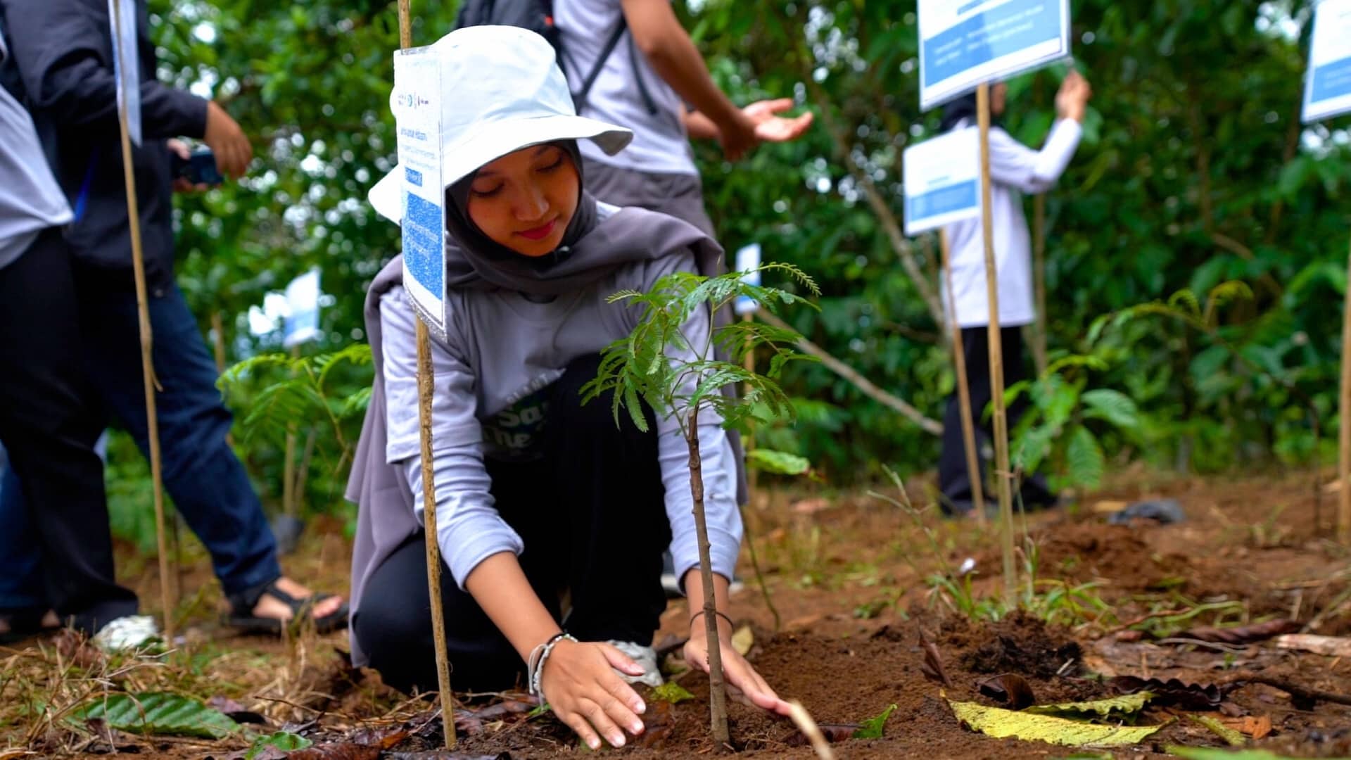 PILI Green Network dan TAF Latih Masyarakat Jaga Hulu Semaka Lewat Penanaman Pohon