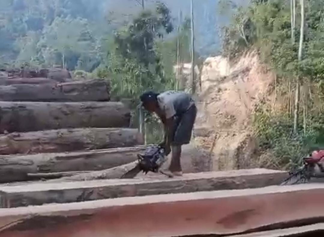 Soal Dugaan Pembalakan Hutan di Pesisir Barat, Anggota DPRD Lampung Minta Tindak Tegas