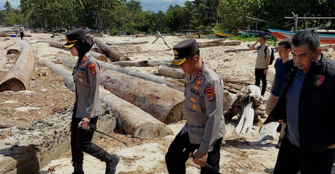 Mandor pembalakan hutan di pesisir barat akhirnya di amankan