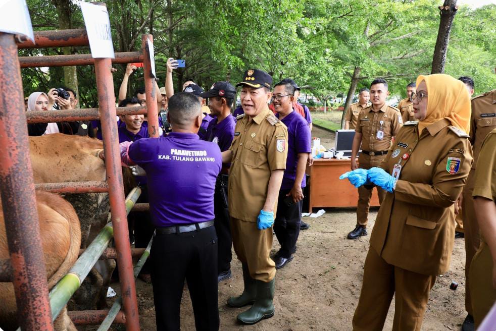 Dukung Peternakan Berbasis Teknologi, Bupati Tulang Bawang Tinjau Ternak Inseminasi Buatan