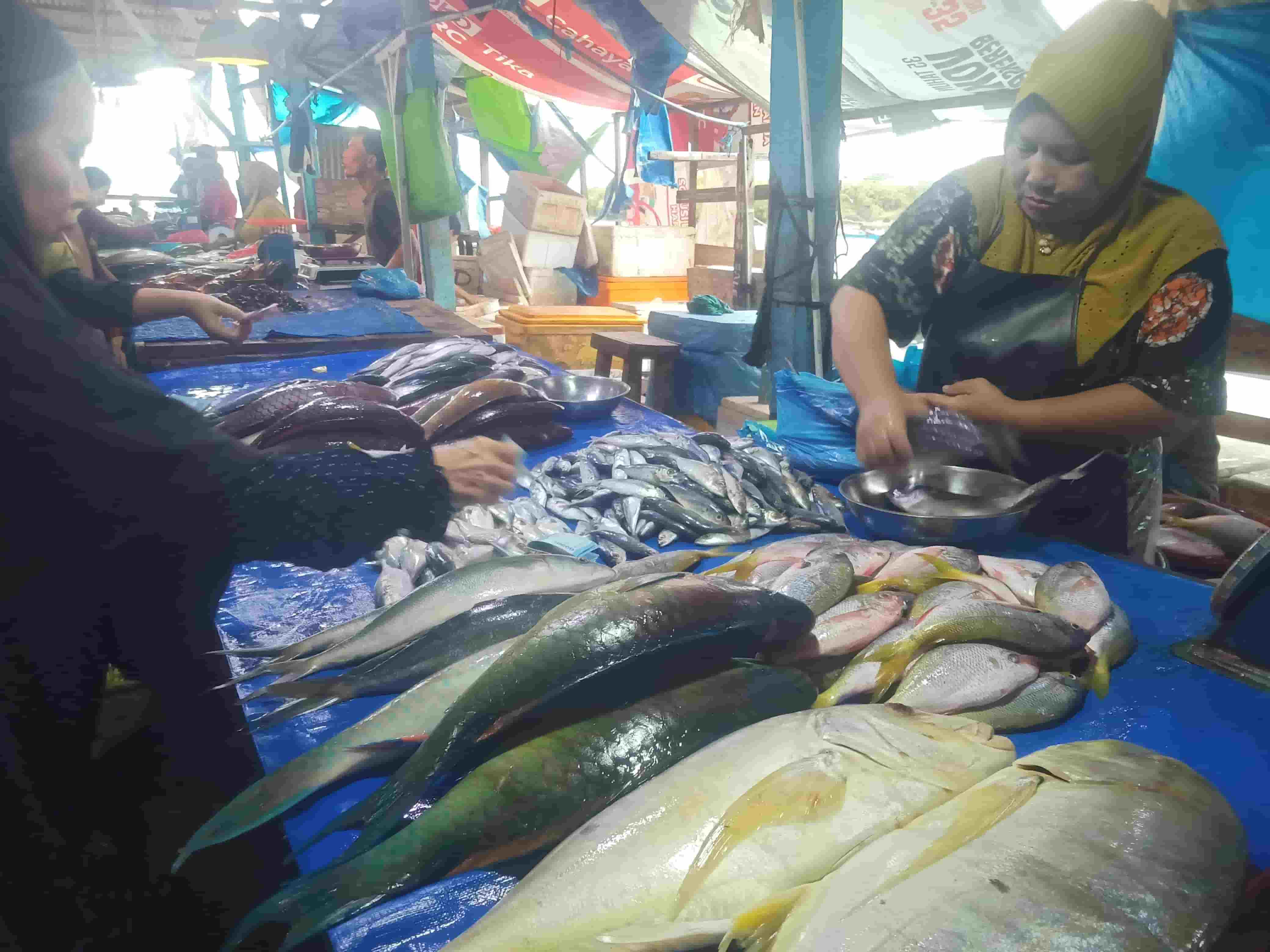 Harga Ikan di Gudang Lelang Telukbetung Selatan Mulai Panas Jelang Akhir Tahun
