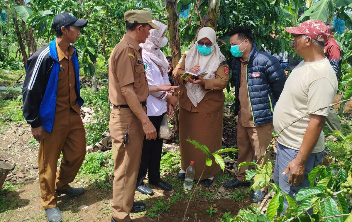 Tragis! Bayi Tidak Bernyawa Ditemukan di Kebun Kopi Lampung Barat