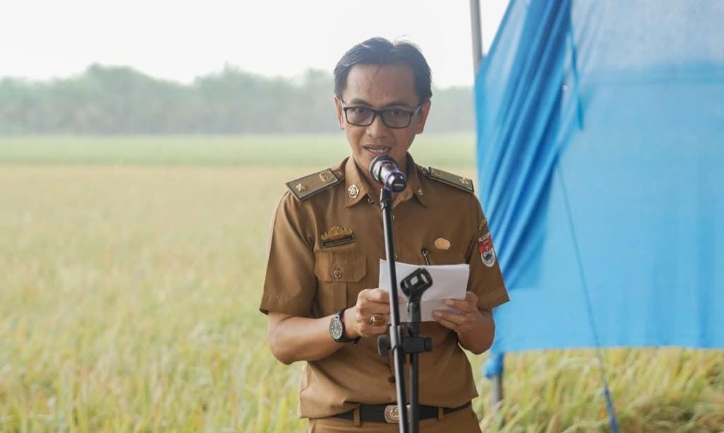 Dinas Pertanian Usulkan Peremajaan Sawit Rakyat Mesuji 185 Hektare, Pengajuan Masuk Tahap BPDPKS