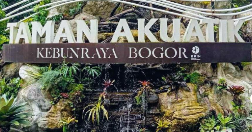Destinasi Edukatif Terbaik: Kebun Raya Bogor Masuk 5 Besar Dunia