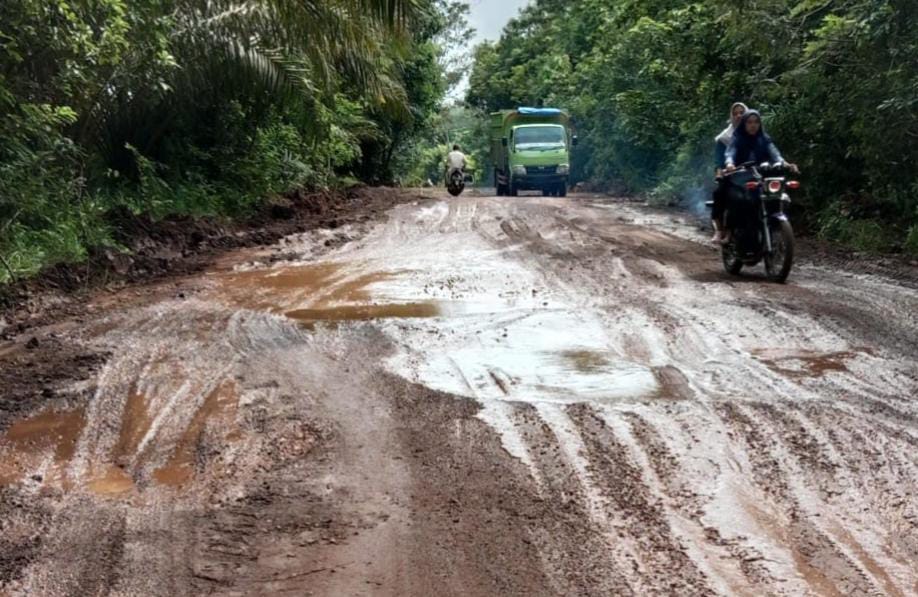 Tidak Kunjung Diperbaiki, Jalan Rusak Di Way Kanan Makin Memburuk