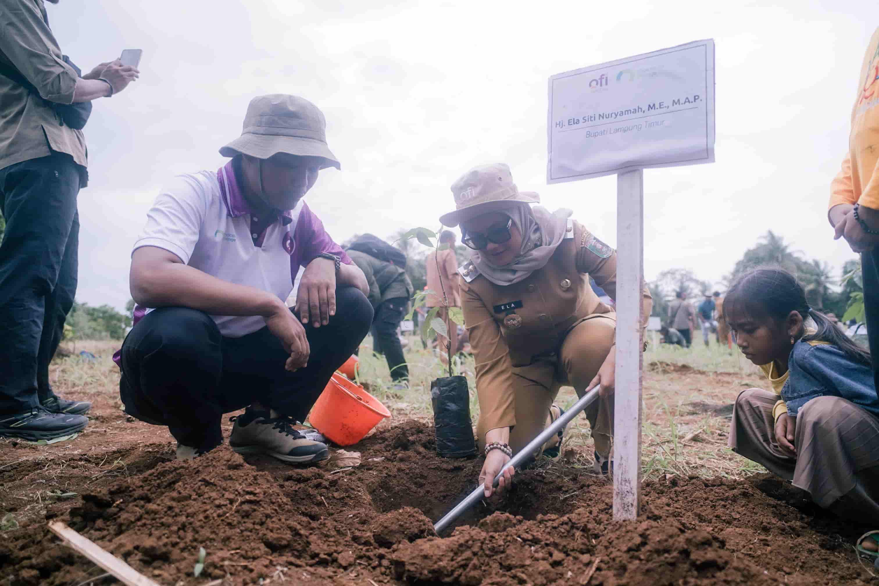 Cocoa Agroforestry Berkelanjutan Jadi Strategi Jaga Hutan dan Ekonomi Warga