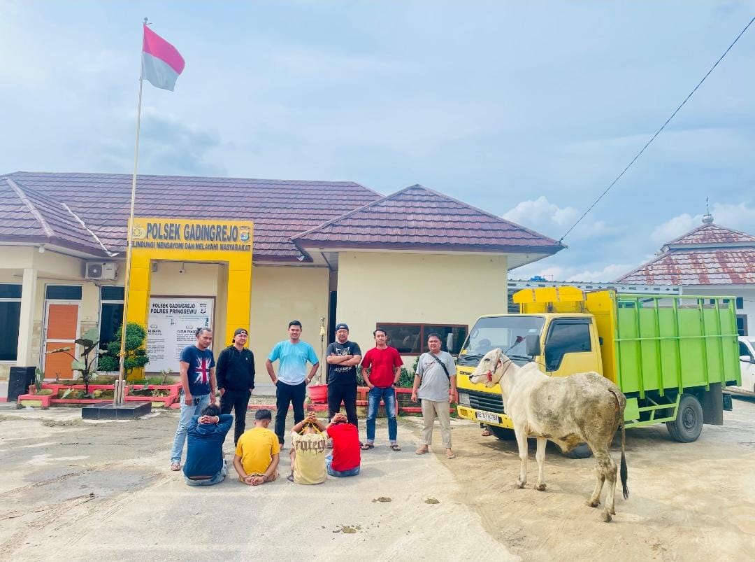 Polda Lampung Berhasil Tangkap Komplotan Maling Spesialis Hewan Ternak