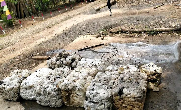 Harga Karet Di Mesuji Terus Melejit, Per Kg Capai Rp 15 Ribu