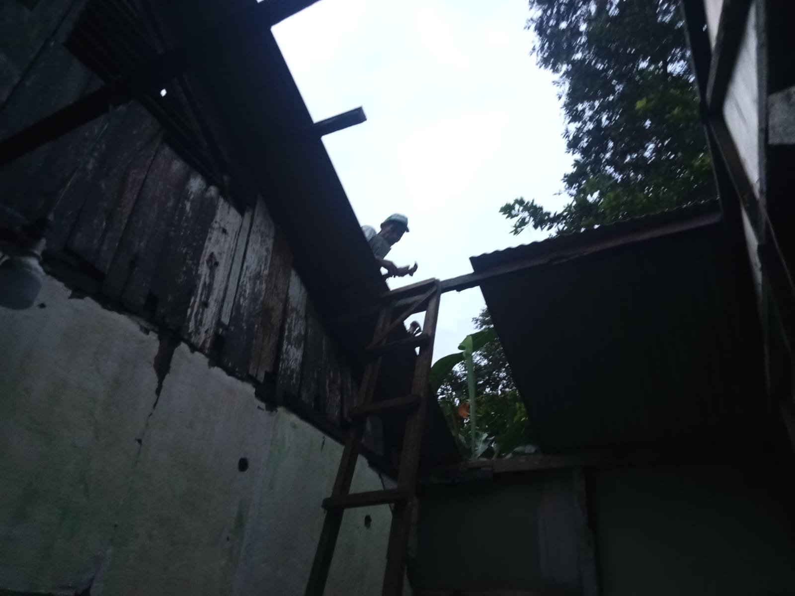 Angin Puting Beliung Terjang Pringsewu, Lansia Nyaris Tertimpa Balok Saat Atap Rumah Beterbangan