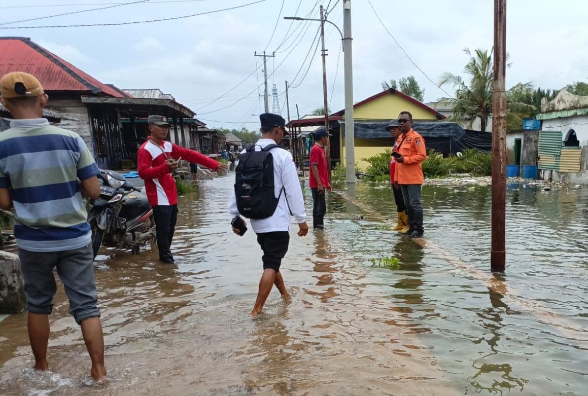 Banjir Rob Sapu Empat Kecamatan di Mesuji, BPBD Temukan Genangan Hingga 50 Sentimeter