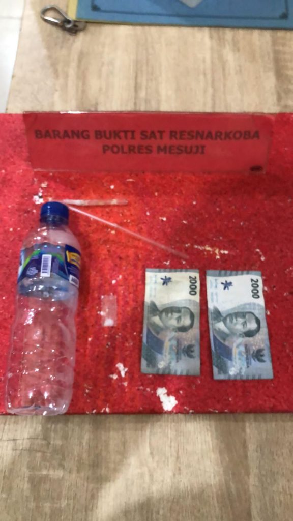 Kedapatan Bawa Sabu, Sopir Truk Asal Lampung Tengah Diamankan Satres Narkoba Polres Mesuji